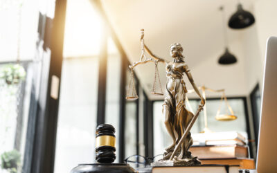 CHIEF JUSTICE PATRICIA GUERRERO APPOINTS SUPERIOR COURT OF LOS ANGELES COUNTY JUDGE MICHELLE WILLIAMS COURT TO THE JUDICIAL COUNCIL OF CALIFORNIA